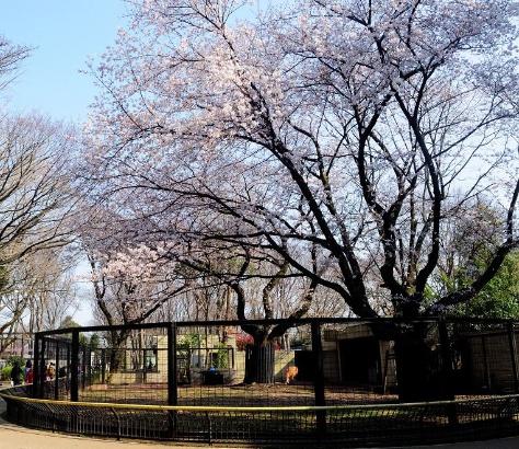 川崎市幸区北加瀬１丁目のアパート(夢見ケ崎公園)