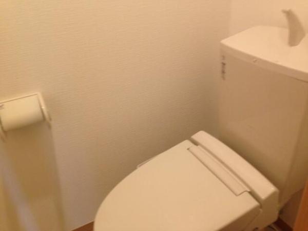 ホワイトプラターヌ