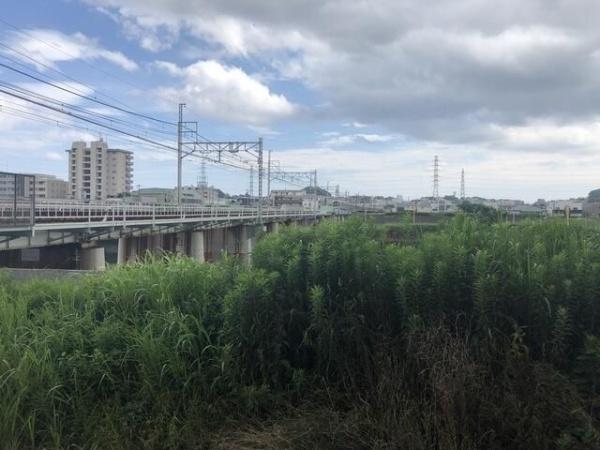 横浜市港北区綱島西２丁目のマンション