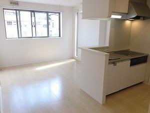 川崎市中原区中丸子のアパート