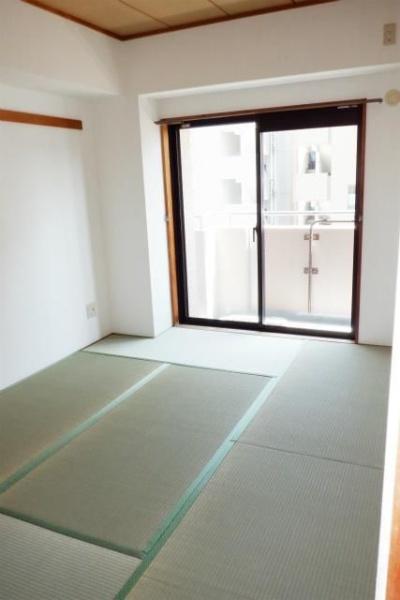 川崎市幸区南幸町２丁目のマンション