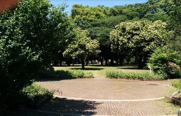 横浜市神奈川区栄町のマンション(神奈川公園)