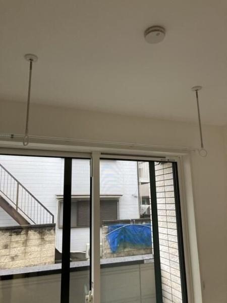 Ｌａｎａ　Ｆｒｕｓｉａ