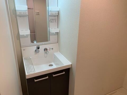 川崎市川崎区川中島1丁目のマンション(洗面台・洗面所)