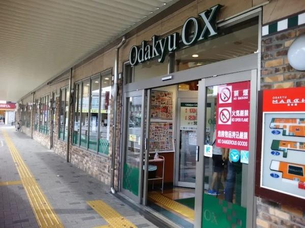 大和市南林間１丁目のマンション(OdakyuOX南林間店)