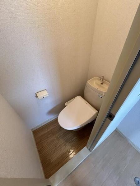 パンプキンハイム