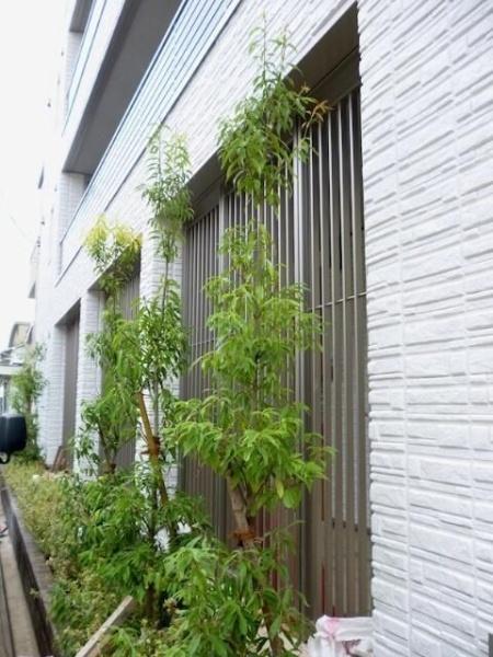 目黒区洗足１丁目のマンション