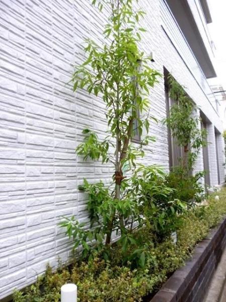 目黒区洗足１丁目のマンション