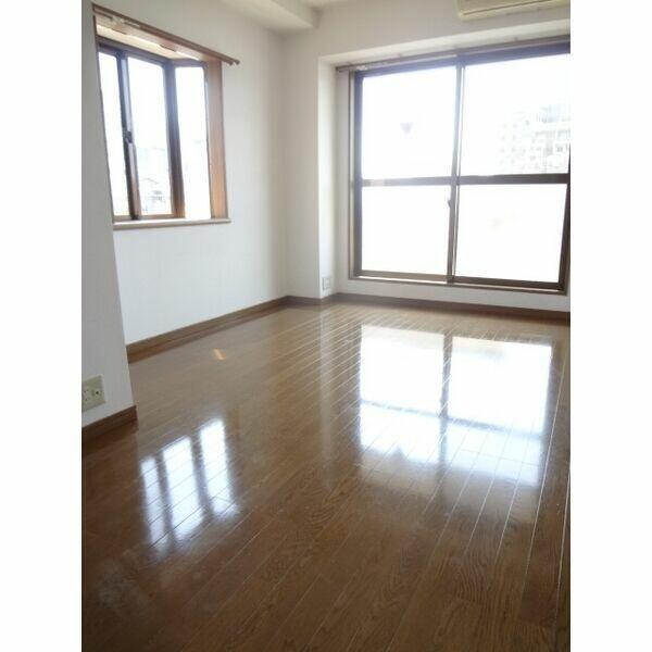 メゾン・ラフィール(リビング)