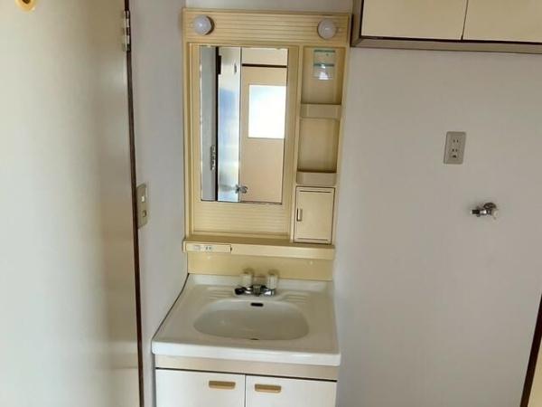 川崎市中原区井田2丁目のマンション(洗面台・洗面所)