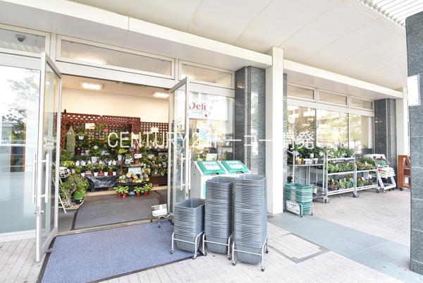 川崎市中原区上丸子山王町２丁目のアパート(デリド武蔵小杉店)