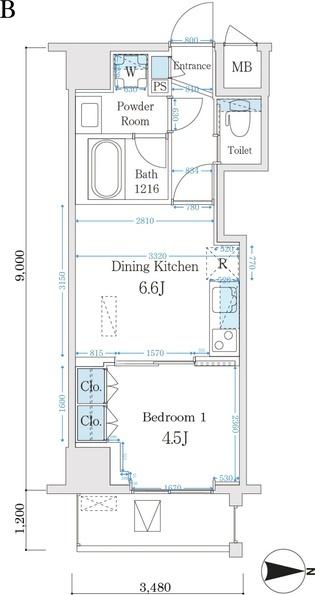 Ｃａｒｔｏｌｅｒｉａ