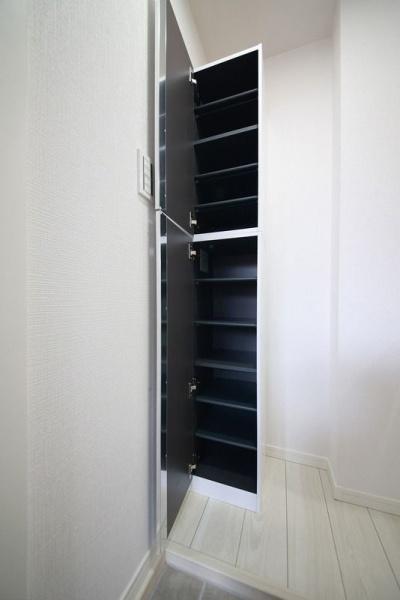 川崎市中原区上丸子山王町2丁目のアパート(玄関)