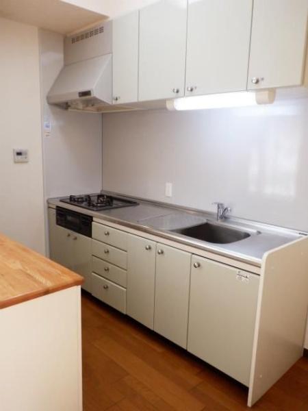 横浜市鶴見区鶴見中央4丁目のマンション(キッチン)