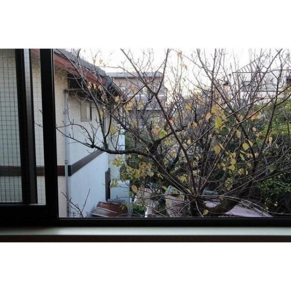 川崎市中原区新城中町のアパート(現地からの眺望)