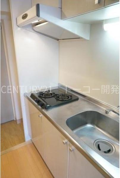 川崎市中原区上丸子山王町2丁目のマンション(キッチン)