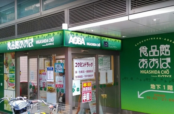 川崎市川崎区砂子１丁目のマンション(食品館あおば東田町店)