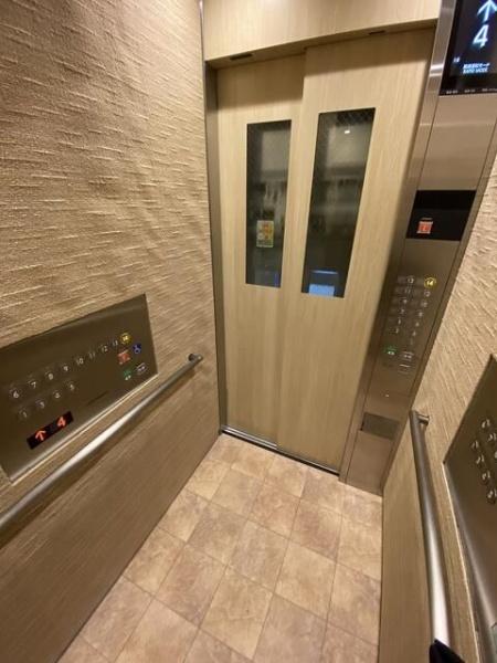 ａｎｉｍｏ　ｕｄａｇａｗａ