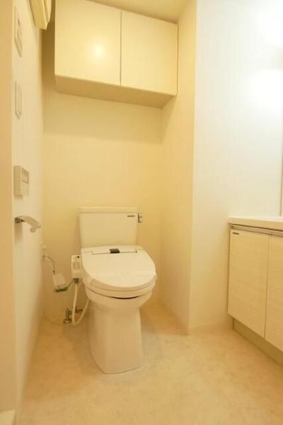 川崎市幸区南幸町２丁目のマンション