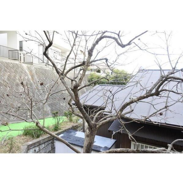 横浜市港北区篠原北２丁目の貸家