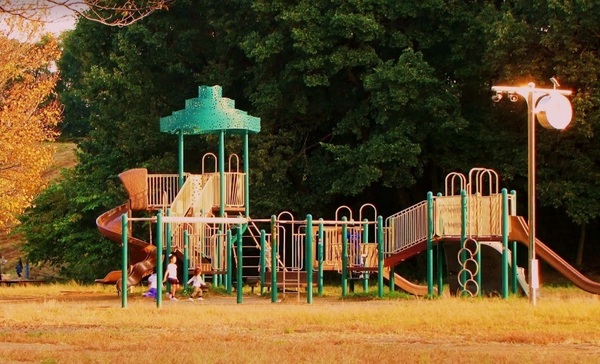 横浜市青葉区美しが丘４丁目のマンション(菅生緑地)