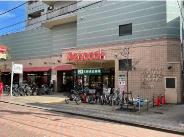 大田区東雪谷４丁目のアパート(ピーコックストア石川台店)