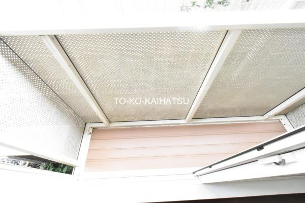 ハウスガーベラ