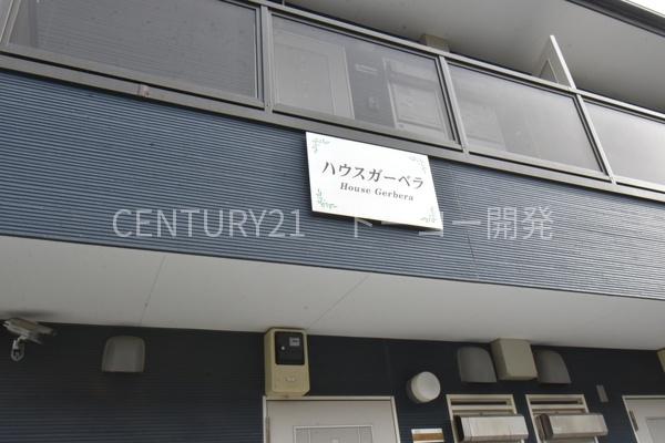 ハウスガーベラ