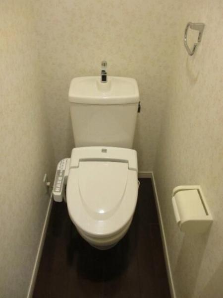 ハウスガーベラ