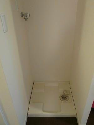 ハウスガーベラ