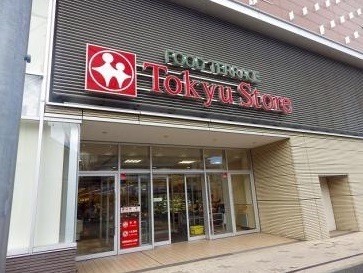 川崎市宮前区犬蔵２丁目のアパート(たまプラーザテラス東急ストア)