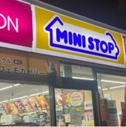 川崎市高津区東野川１丁目のマンション(ミニストップ中原下新城3丁目店)
