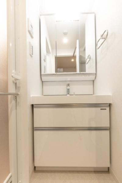 川崎市幸区南幸町１丁目のマンション