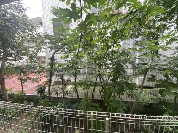 川崎市高津区東野川１丁目のアパート