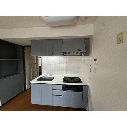カピトール川崎Ⅰ