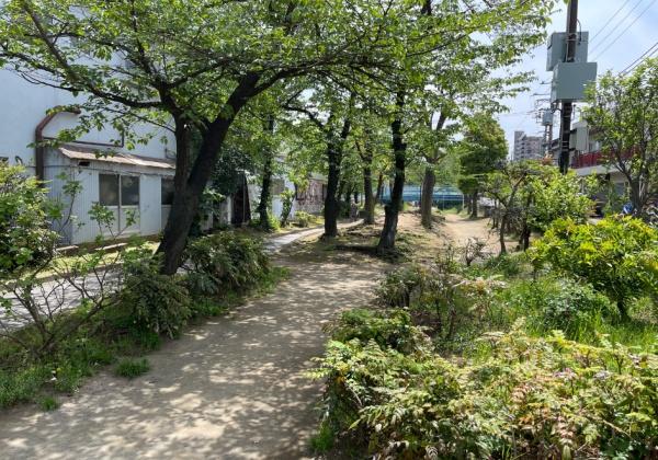 大田区東糀谷１丁目のマンション(旧呑川緑地)