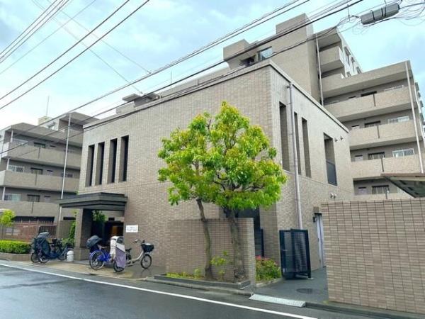 ステラコート