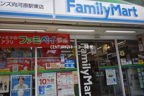 川崎市中原区上丸子山王町２丁目のアパート(ファミリーマートサンズ向河原駅東店)