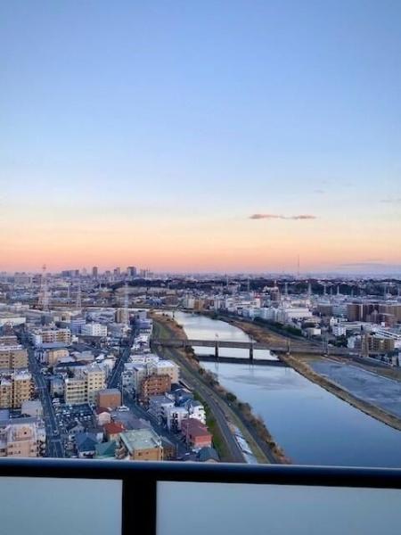ドレッセタワー新綱島