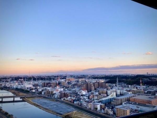 ドレッセタワー新綱島