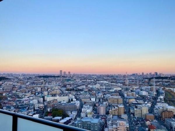 ドレッセタワー新綱島