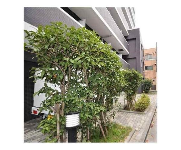川崎市中原区下沼部のマンション