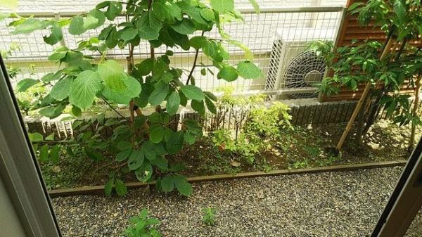 川崎市幸区南加瀬３丁目のアパート