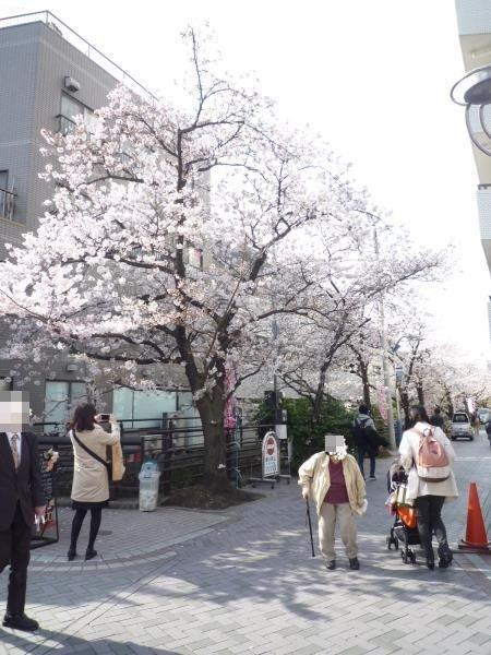 川崎市中原区今井南町のマンション
