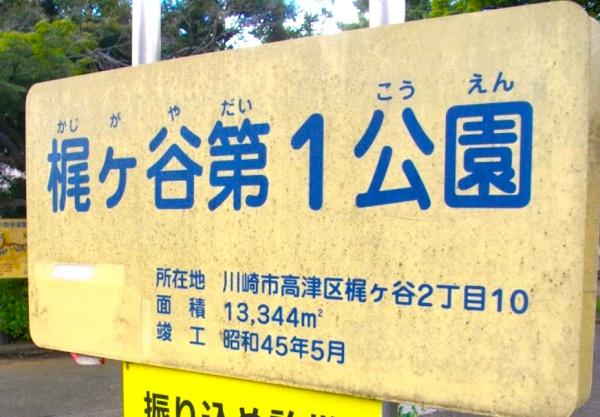 川崎市高津区梶ケ谷３丁目のマンション(梶ケ谷第一公園)