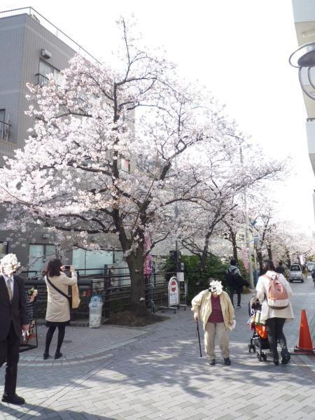 川崎市中原区今井南町のマンション