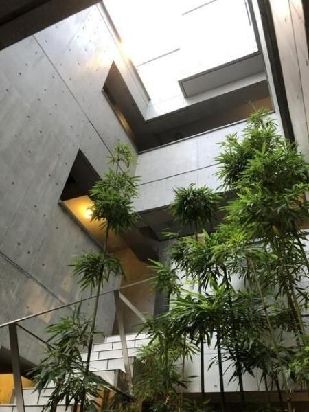 川崎市川崎区小田栄１丁目のマンション