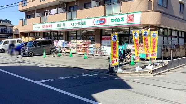 川崎市川崎区江川２丁目のマンション(ドラッグセイムス川崎出来野店)