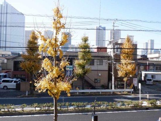 川崎市中原区下沼部のマンション