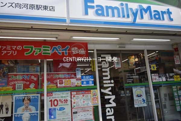 メゾンF(ファミリーマートサンズ向河原駅東店)